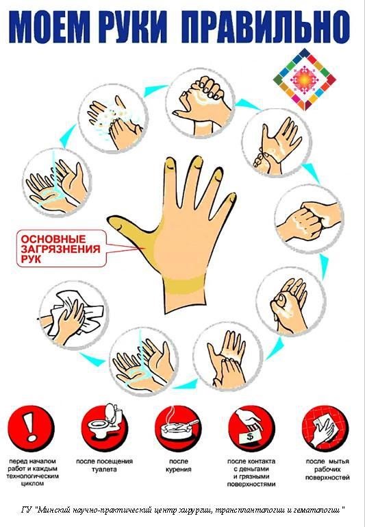 Правила личной гигиены рук 2